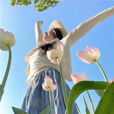 机Boy小子之真假威龙